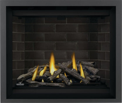 NAPOLEON ALTITUDE™ 42 DIRECT VENT GAS FIREPLACE  A42