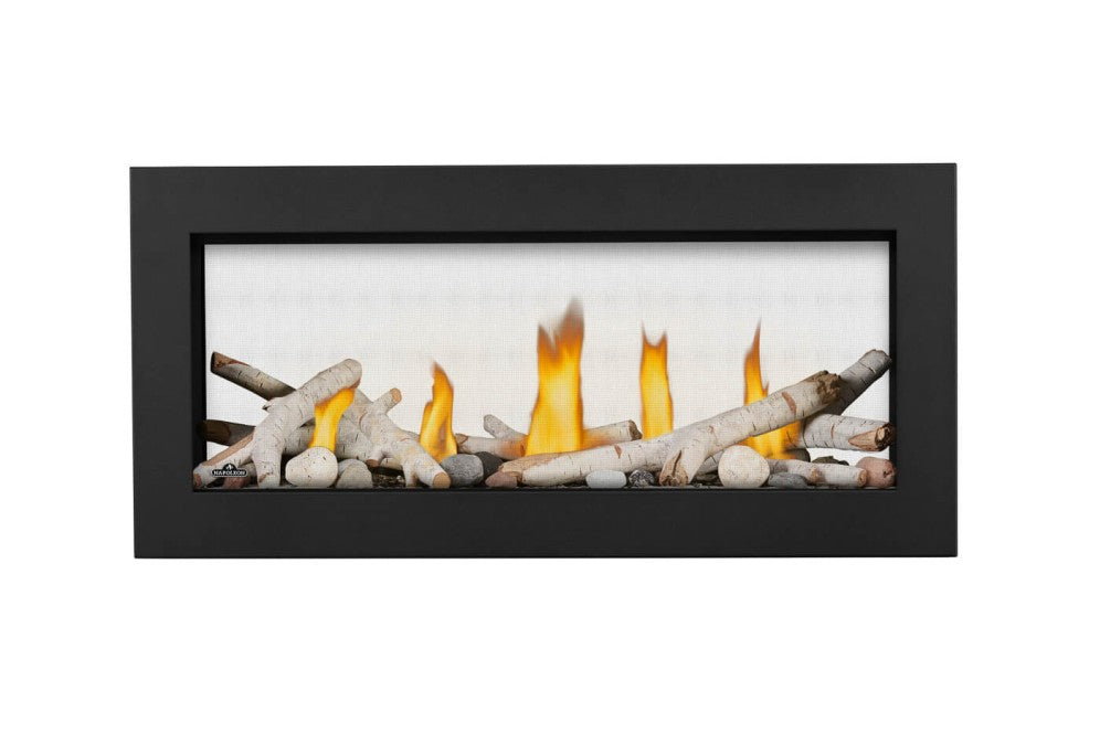 NAPOLEON Vector™ 38 See Through Direct Vent Gas Fireplace  LV38