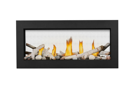 NAPOLEON Vector™ 38 See Through Direct Vent Gas Fireplace  LV38